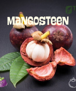 Mangosteen
