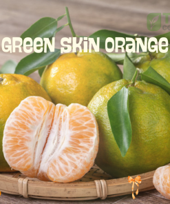 Green Skin Orange