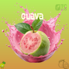 Guava