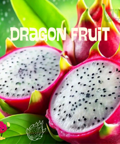 Dragon Fruit