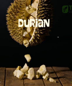 Freeze-Dried Durian