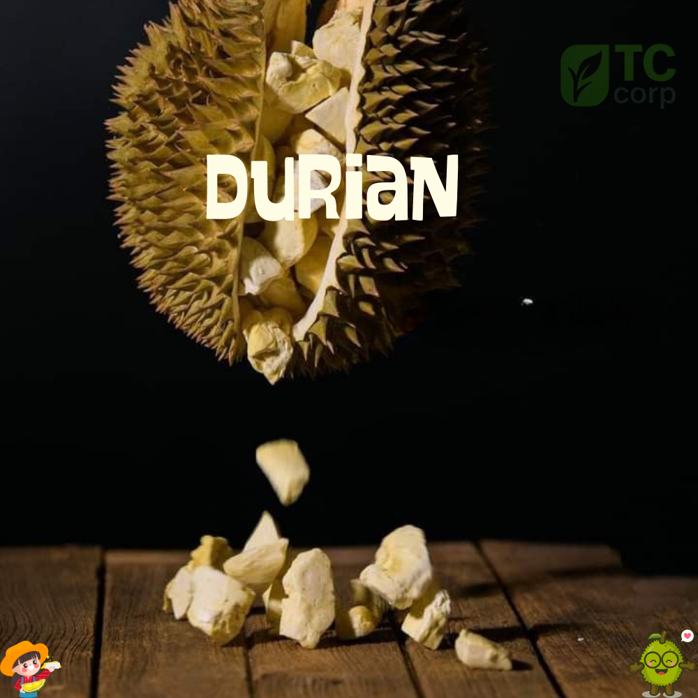 Freeze-Dried Durian