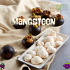 Freeze-Dried Mangosteen