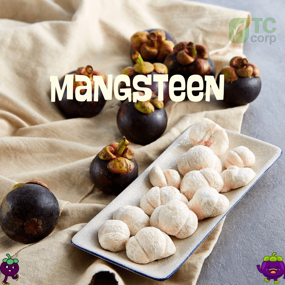 Freeze-Dried Mangosteen